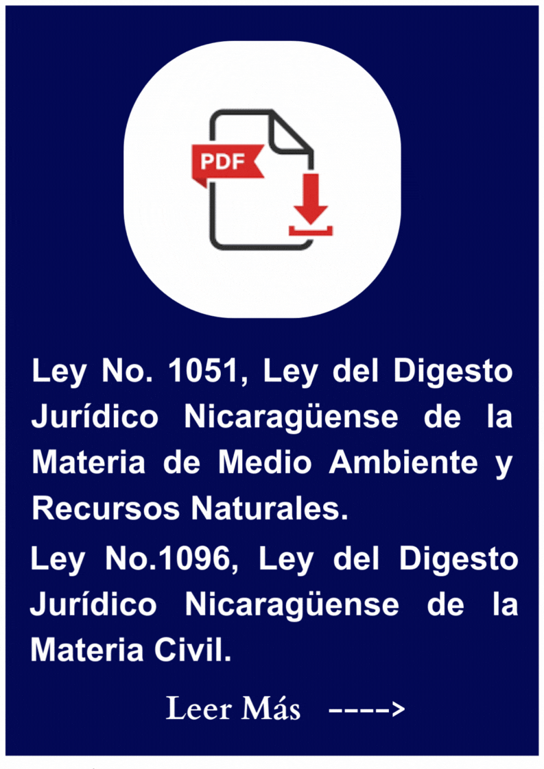 Leyes